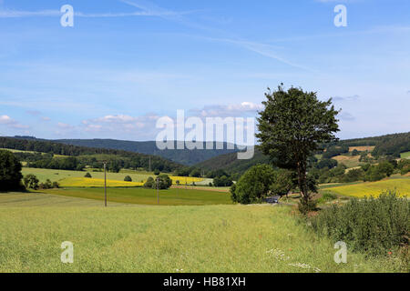 Eifel Foto Stock