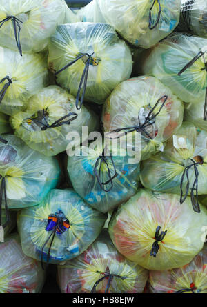 Giallo impilati con sacchetti di plastica dei rifiuti, raccolta differenziata dei rifiuti, Bassa Sassonia, Germania Foto Stock