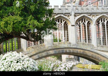 Ponte dei Sospiri di Cambridge Foto Stock