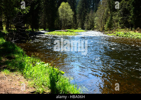 Foresta Nera, Germania, Fiume Wutach Foto Stock