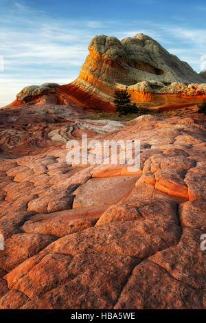 Luce della Sera sui colori spettacolari dei lecca-lecca Rock in Arizona remota della tasca di bianco e vermiglio scogliere monumento nazionale. Foto Stock