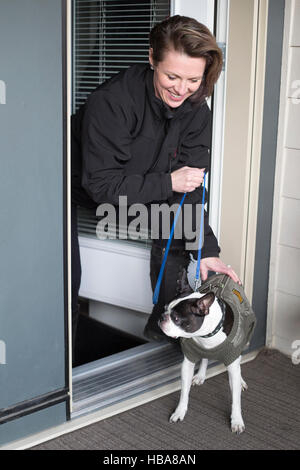 Donna ottenendo il suo Boston Terrier cane pronto per andare a fare una passeggiata in condizioni di clima freddo Foto Stock