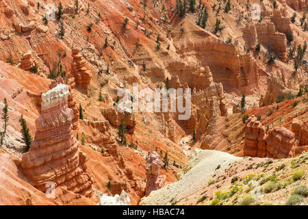 Cedar Breaks 5 Foto Stock