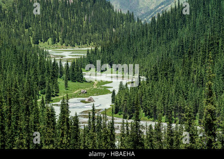 Meandriform fiume fa il suo modo attraverso una valle circondata da conifere. E Ala-Kul Altyn Arashan Trekking paesaggio di montagna, il Kirghizistan Foto Stock