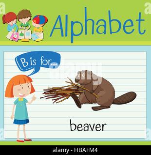 Flashcard lettera B è per beaver illustrazione Illustrazione Vettoriale