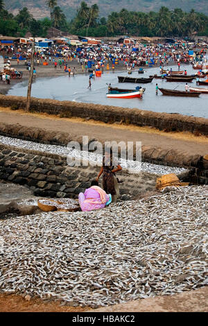 I pescatori di dock, una piccola spiaggia con sabbia nera. shrivardhan, raigad district, Maharashtra, India Foto Stock