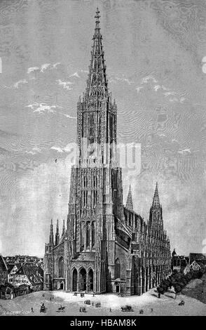 Ulm Minster, Ulmer Muenster, è una chiesa luterana si trova a Ulm in Germania, è il più alto chiesa nel mondo, hictorical illustrazione dal 1880 Foto Stock