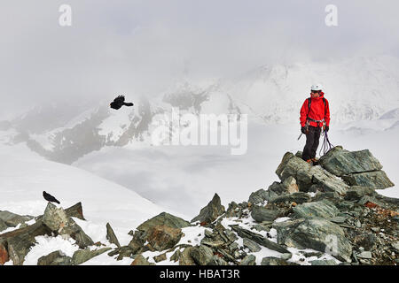 Uomo sulla cima coperta di neve montagna guardando uccello in volo, Saas Fee, Svizzera Foto Stock