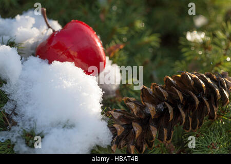 Natale apple, pigna sullo sfondo della coperta di neve abete. Le decorazioni di Natale. Foto Stock