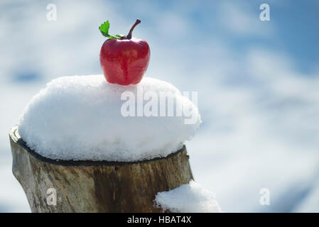Natale apple rosso disteso sulla coperta di neve moncone di legno di albero. Le decorazioni di Natale Foto Stock