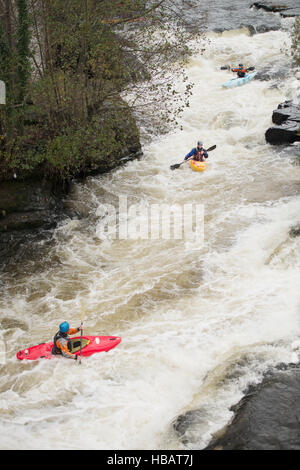 Angolo di alta vista di kayakers canoa fiume Dee White Water Rapids, Llangollen, il Galles del Nord Foto Stock