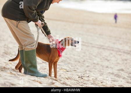 Uomo e cane sulla spiaggia, Constantine Bay, Cornwall, Regno Unito Foto Stock