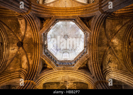 Spagna, Barcellona, Cattedrale di Santa Croce e di Santa Eulalia interno, soffitto gotico Foto Stock
