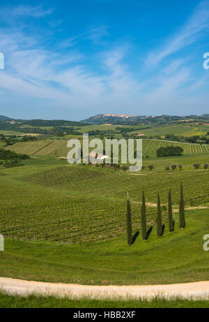 Tipico paesaggio toscano Foto Stock