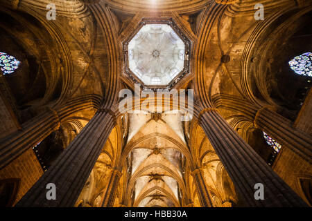 La cattedrale di Barcellona interno, nervatura gotica vault e cupola, Catalogna, Spagna, Europa Foto Stock