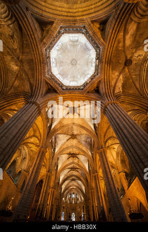 La cattedrale di Barcellona interno, nervatura gotica vault e cupola, Catalogna, Spagna, Europa Foto Stock