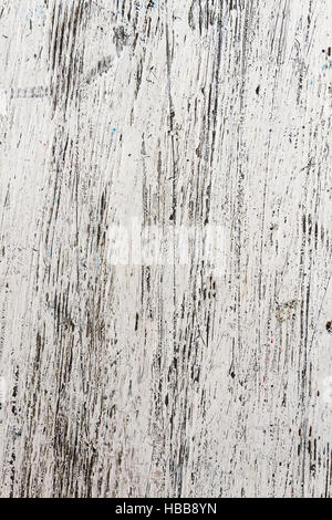 Legno compensato Foto Stock