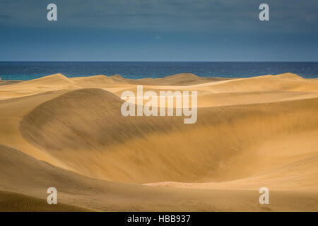 Splendide dune di sabbia nella Riserva Naturale delle Dune di Maspaloma in Gran Canaria Foto Stock