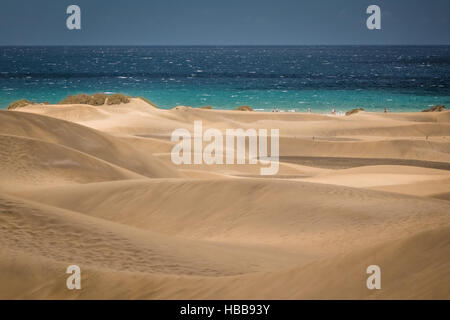 Splendide dune di sabbia nella Riserva Naturale delle Dune di Maspaloma in Gran Canaria Foto Stock