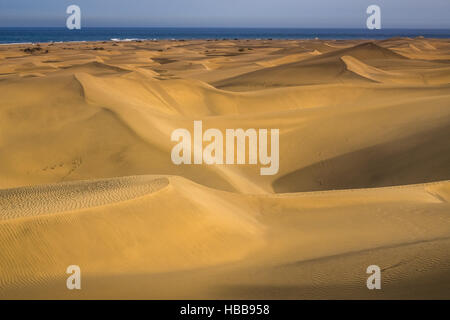 Splendide dune di sabbia nella Riserva Naturale delle Dune di Maspaloma in Gran Canaria Foto Stock