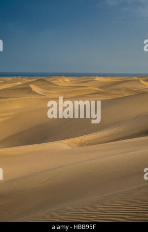 Splendide dune di sabbia nella Riserva Naturale delle Dune di Maspaloma in Gran Canaria Foto Stock