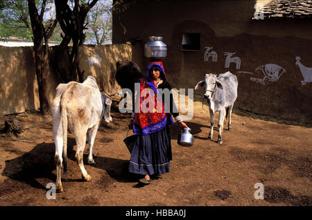 Inde - Rajasthan - Village des dintorni de Tonk ferme Foto Stock