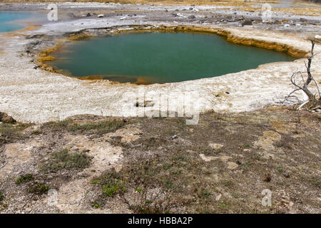 Opale nero molla 2 Foto Stock