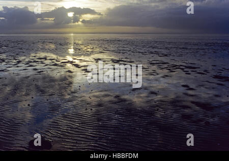 Tramonto con ripple segni sulla costa del Mare del Nord Foto Stock