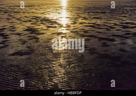 Tramonto con ripple segni sulla costa del Mare del Nord Foto Stock