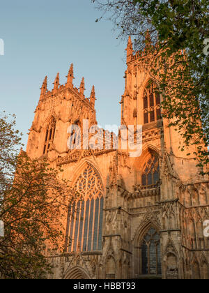 York Minster al tramonto york Yorkshire Inghilterra Foto Stock