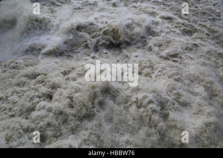 Alluvione presso il fiume Reno Foto Stock