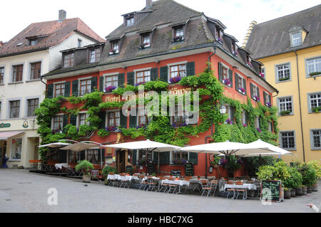 Wisteria sinensis, glicine cinese Foto Stock