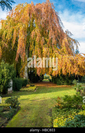 Cimitero nel quartiere Altona di Amburgo Foto Stock