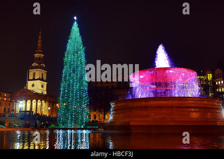 Londra, Regno Unito. Il 5 dicembre 2016. Trafalgar Square albero di Natale e una fontana in Trafalgar Square, Londra, Regno Unito. Credito: Paul Brown/Alamy Live News Foto Stock