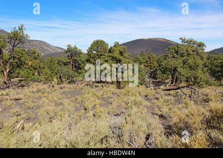 Pendenza del cono di scorie al tramonto cratere di Vulcano Monumento Nazionale a nord di Flagstaff, in Arizona Foto Stock