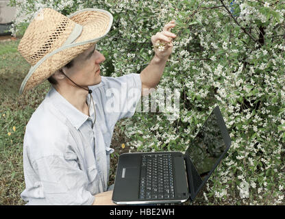 Il giovane giardiniere in un giardino di ciliegie Foto Stock