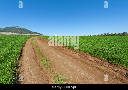 Il Monte Tabor in Israele Foto Stock