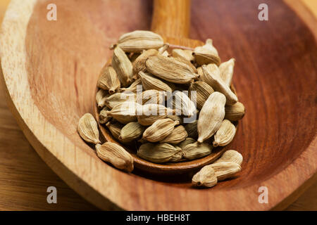 Il Cardamomo (Elettaria cardamomum) pod in un cucchiaio di legno in una ciotola di legno Foto Stock