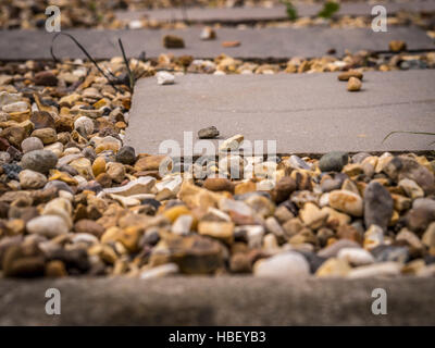 Set di pavimentazione all'interno di ghiaia nel percorso del giardino Foto Stock