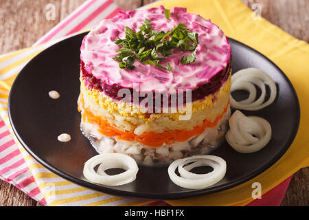 Layered con insalata di aringhe, barbabietole, carote, cipolle patate e uova close-up su una piastra orizzontale. Foto Stock