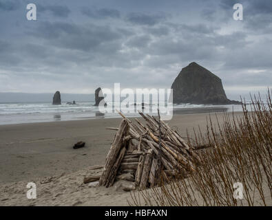 Un driftwood fort contro la spiaggia sullo sfondo di Cannon Beach Foto Stock
