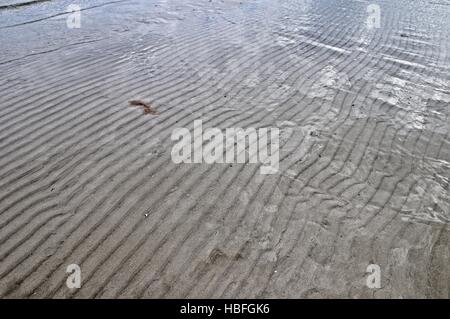 I colori e le forme fino e in acqua Foto Stock