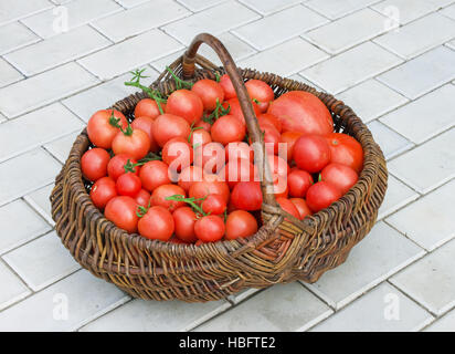 Vecchio wattled cestello riempito con pomodori Foto Stock