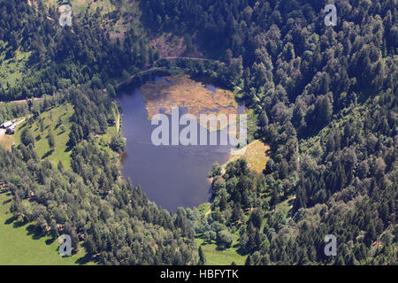 Nonnenmattweiher nella Foresta Nera Foto Stock