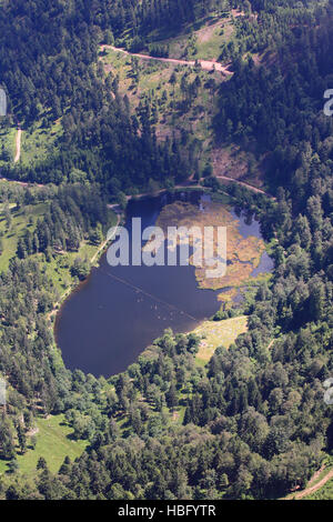 Nonnenmattweiher nella Foresta Nera Foto Stock