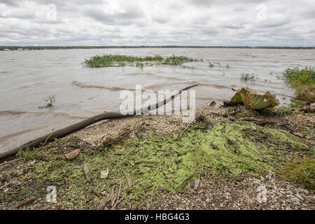 Banca sul fiume Mississippi vicino Nauvoo, Il. Vicino al sito di un palazzo del XIX secolo in traghetto per il Mormon Trail. Foto Stock