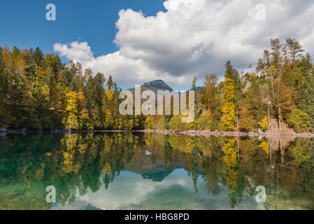 Foresta di autunno riflesso nel lago, Kleiner Ödsee, Totes Gebirge, Almtal, Salzkammergut, Austria superiore, Austria Foto Stock