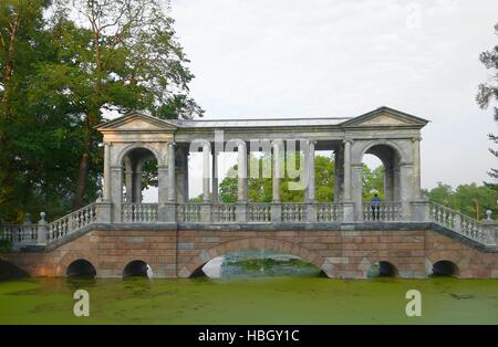 Ponte di siberiano Foto Stock