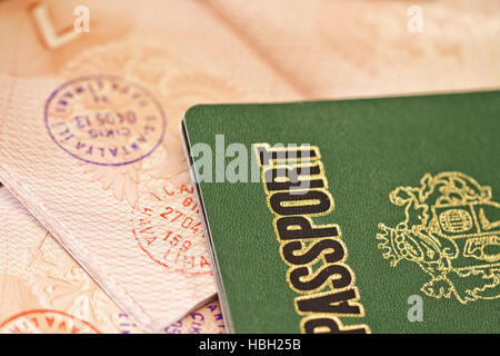 Pagina del passaporto con i timbri Foto Stock