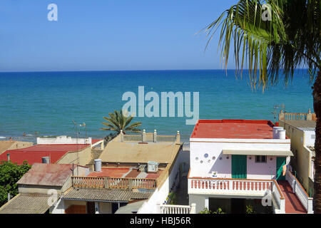 Impianti di casa a Valencia Foto Stock